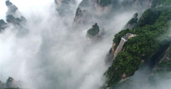 حديقة غابات "جانغ جيا جييه" الوطنية Zhangjiajie National Forest Park