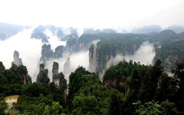 حديقة غابات "جانغ جيا جييه" الوطنية Zhangjiajie National Forest Park