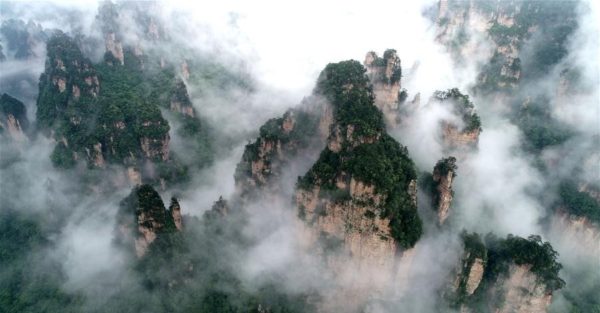 حديقة غابات "جانغ جيا جييه" الوطنية Zhangjiajie National Forest Park