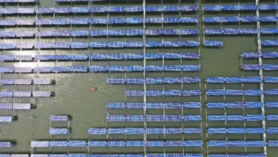 معدلات استهلاك الطاقة تكشف المزيد من المؤشرات الحيوية للاقتصاد الصيني