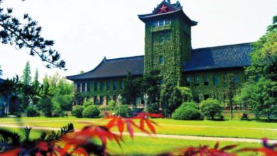 جامعة نانجينغ